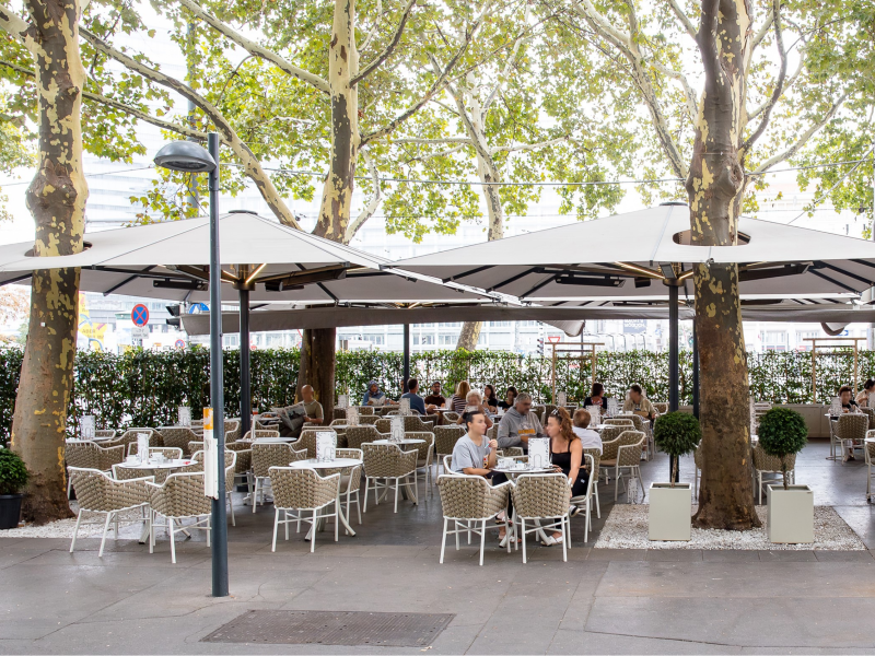 Montert rundt trær1